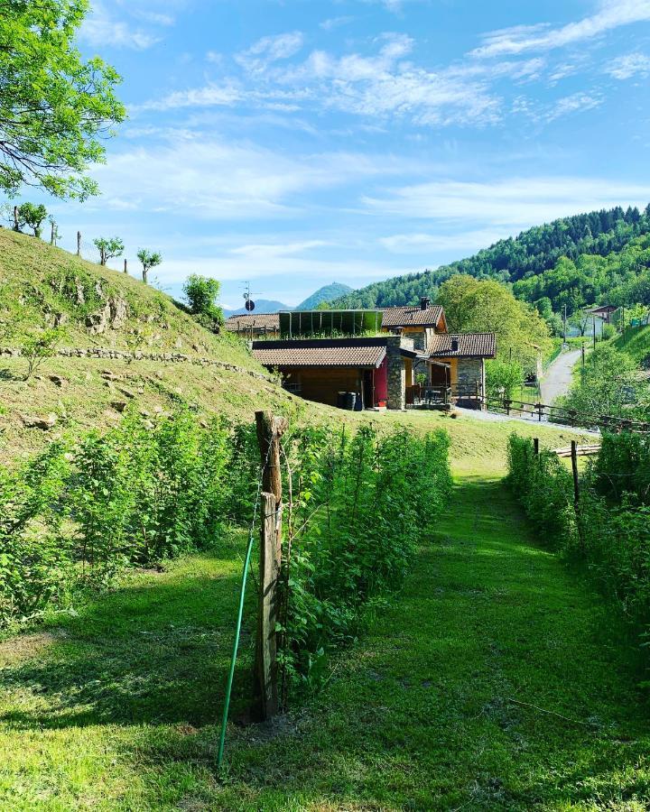 Agriturismo Il Talento Nella Quiete Castiglione dʼIntelvi Exterior foto