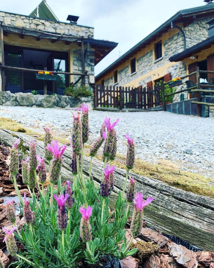 Agriturismo Il Talento Nella Quiete Castiglione dʼIntelvi Exterior foto