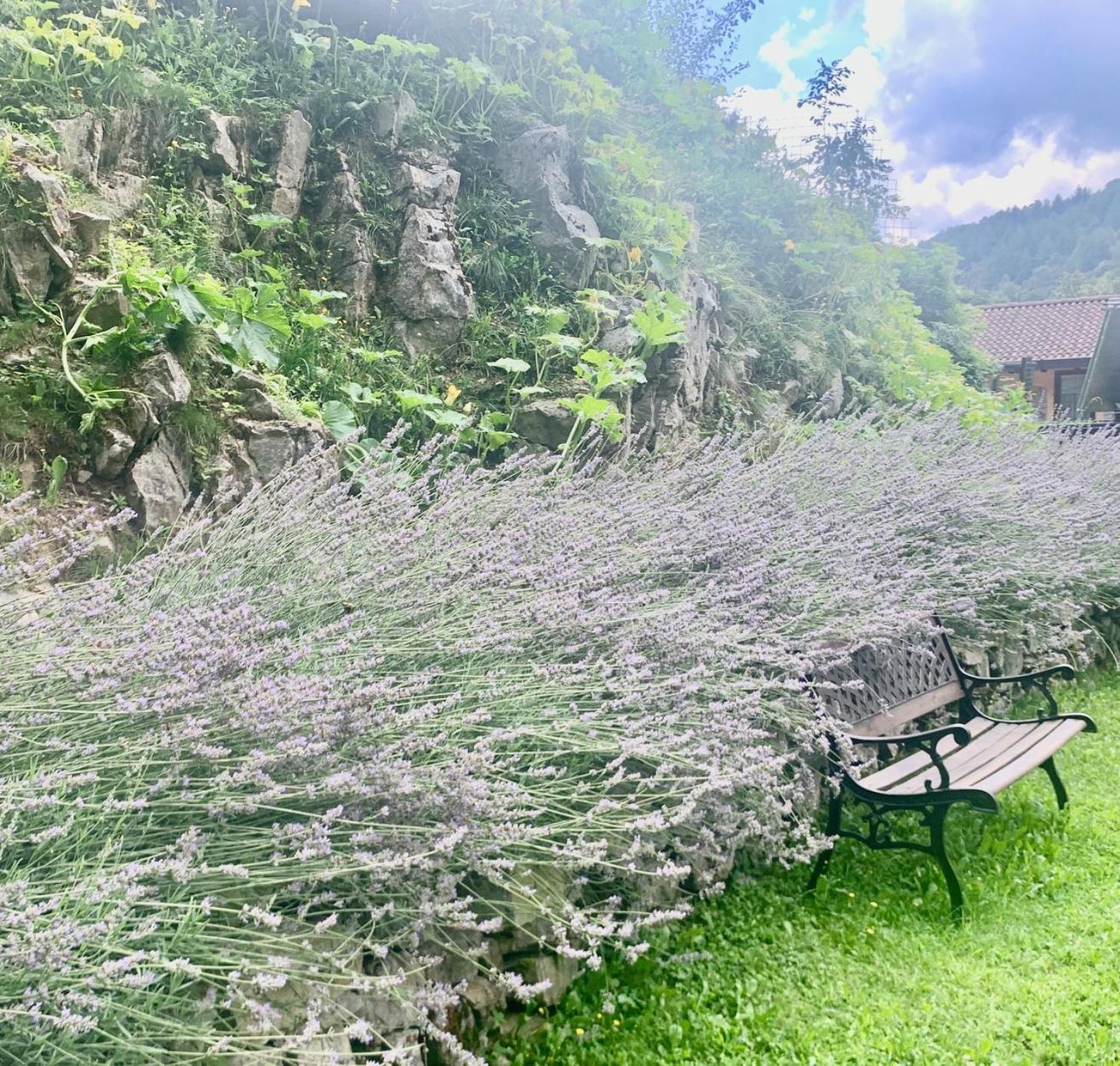 Agriturismo Il Talento Nella Quiete Castiglione dʼIntelvi Exterior foto